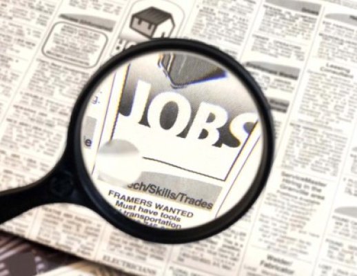 Job plătit cu 650 de dolari pe zi